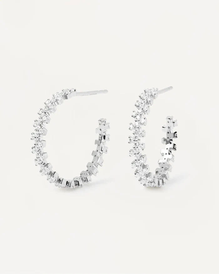 CROWN GOLD/SILVER EARRING