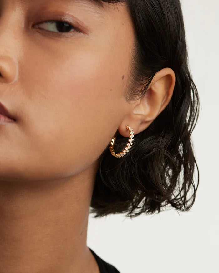 CROWN GOLD/SILVER EARRING