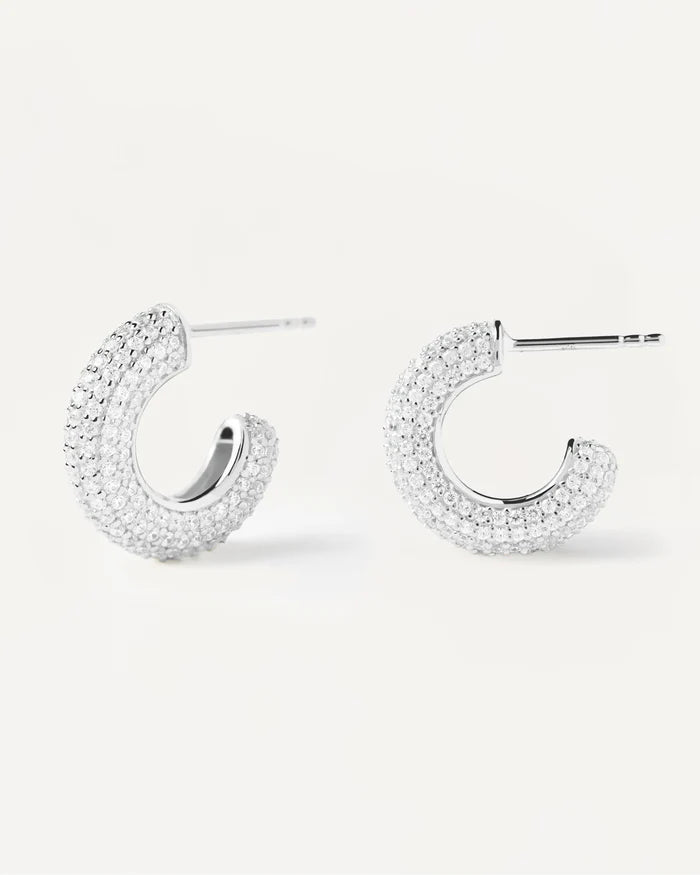 KING GOLD/SILVER EARRINGS