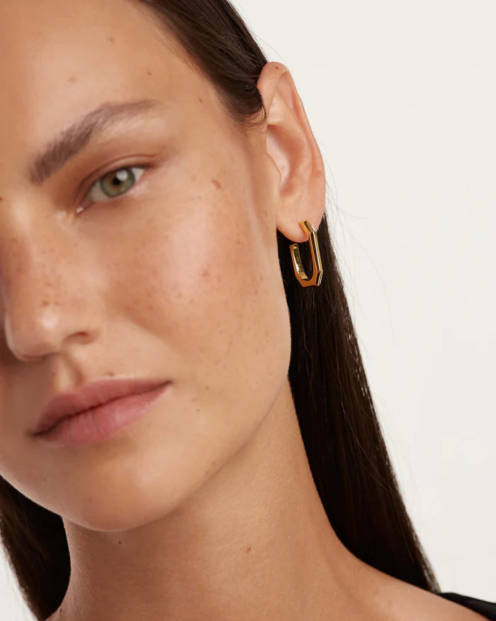 SIGNATURE LINK GOLD/SILVER EARRINGS