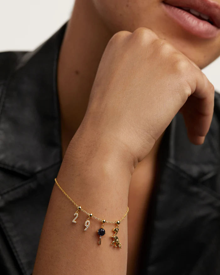 NUMBER CHARM "6"