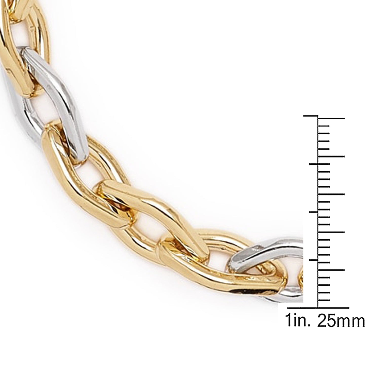 8" Two Tone Rolo Bracelet