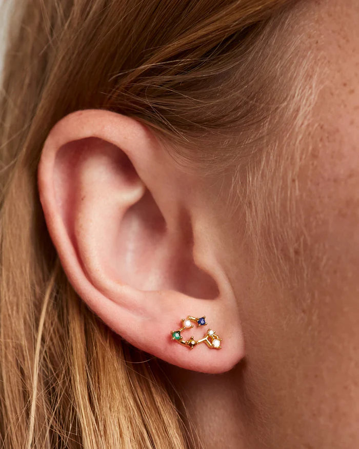 PISCES EARRINGS