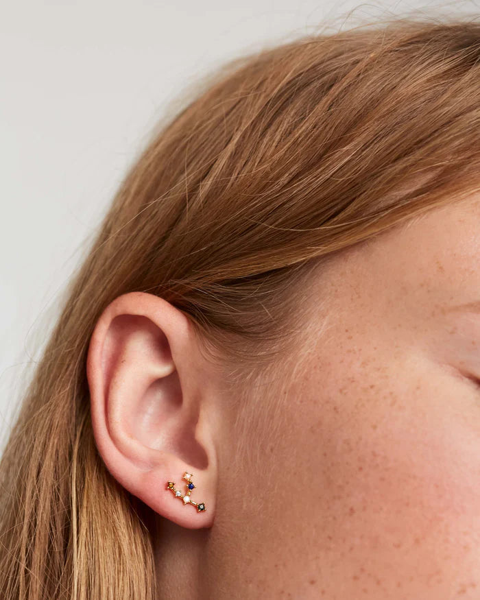 TAURUS EARRINGS