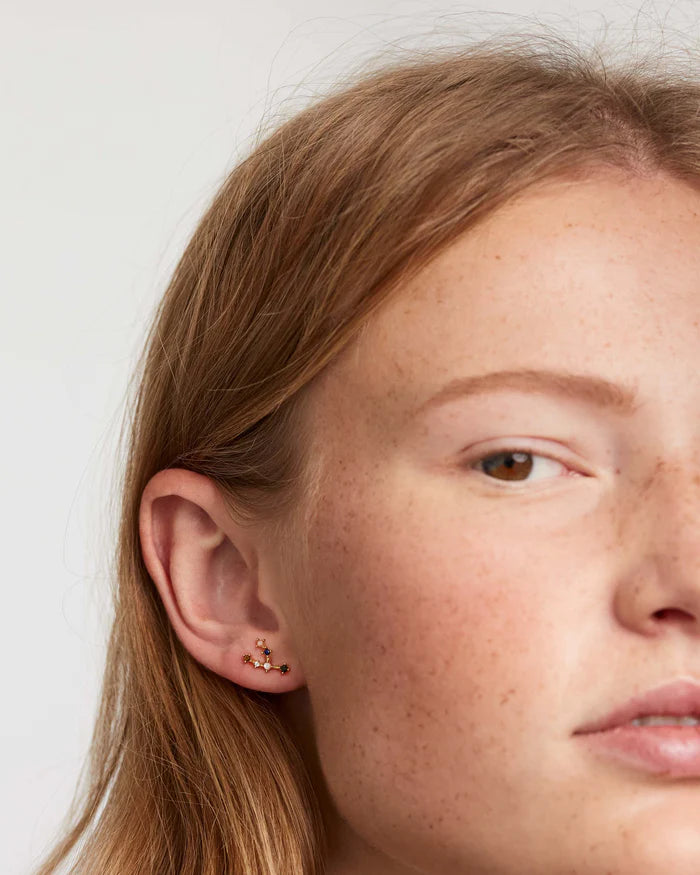 TAURUS EARRINGS