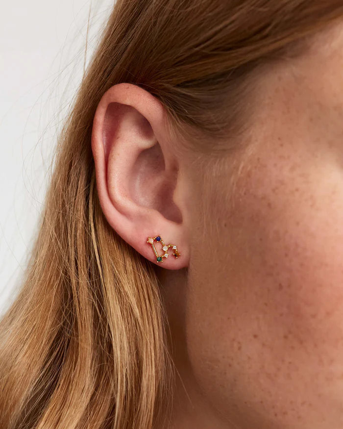 LEO EARRINGS