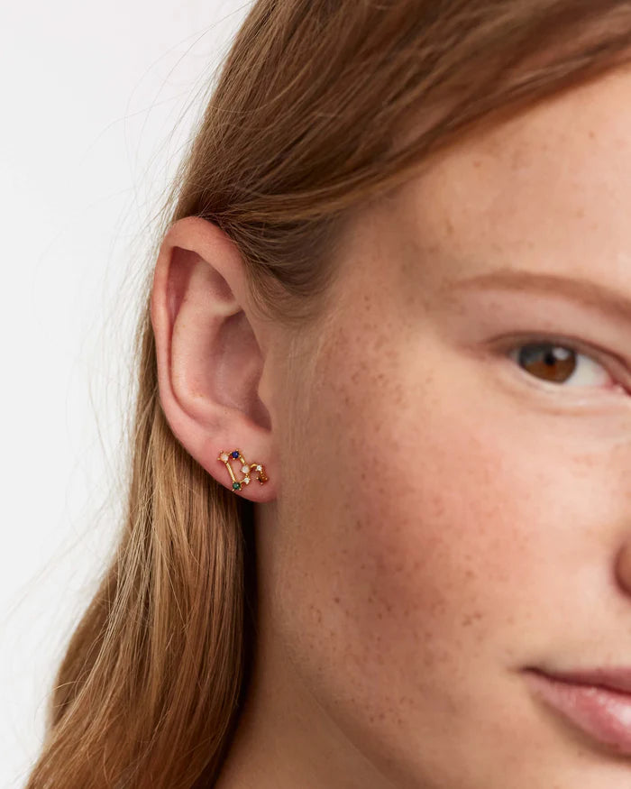 LEO EARRINGS