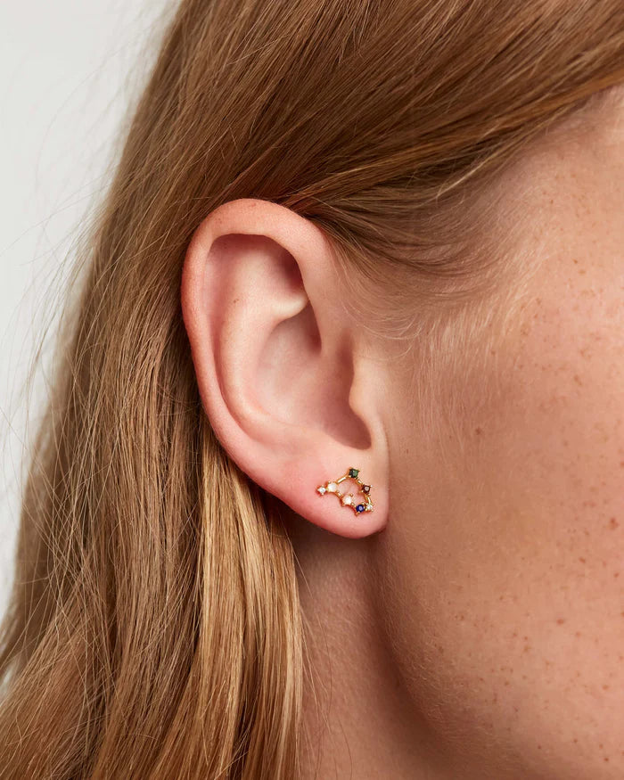 CAPRICORN EARRINGS