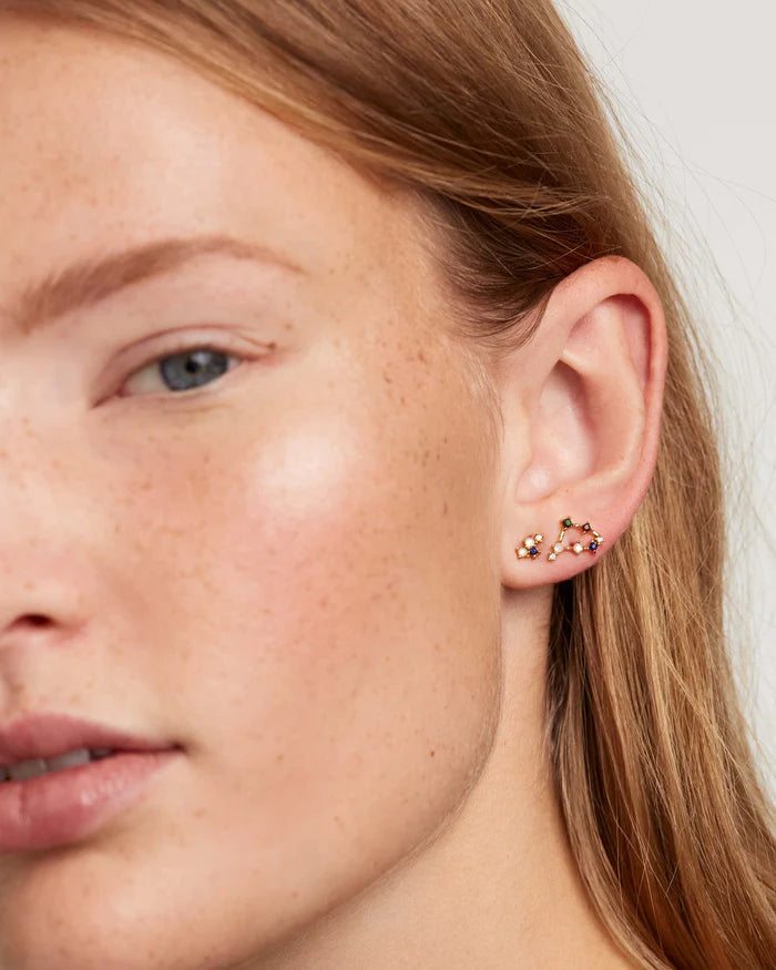 SAGITARIUS EARRINGS