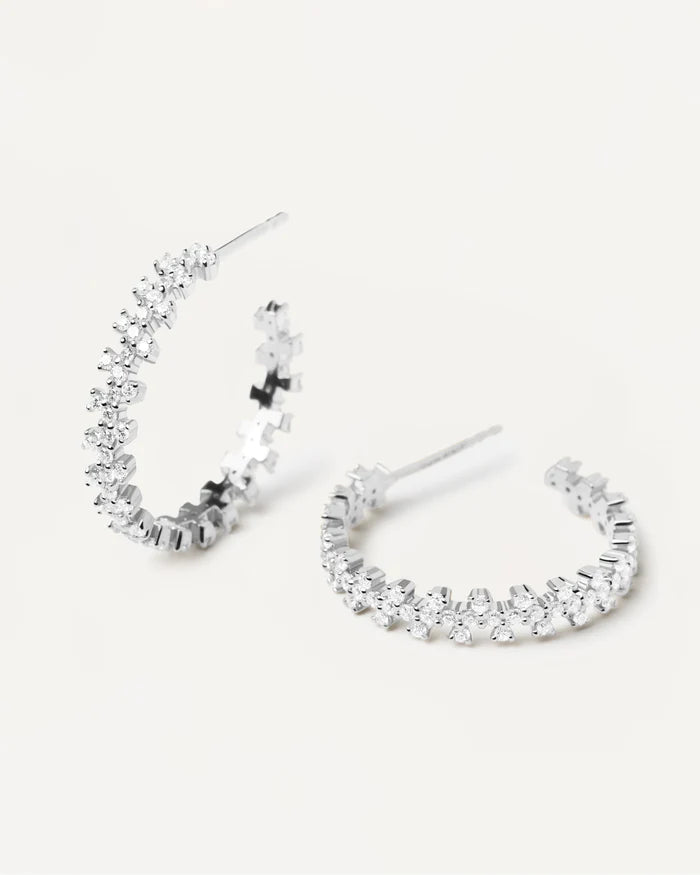 CROWN GOLD/SILVER EARRING
