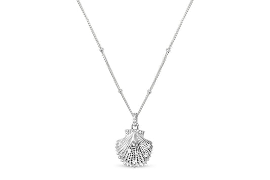 Charm & Chain Necklace - Sultry Shell