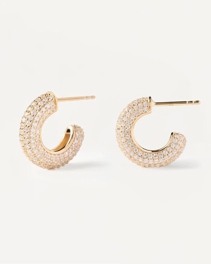 KING GOLD/SILVER EARRINGS