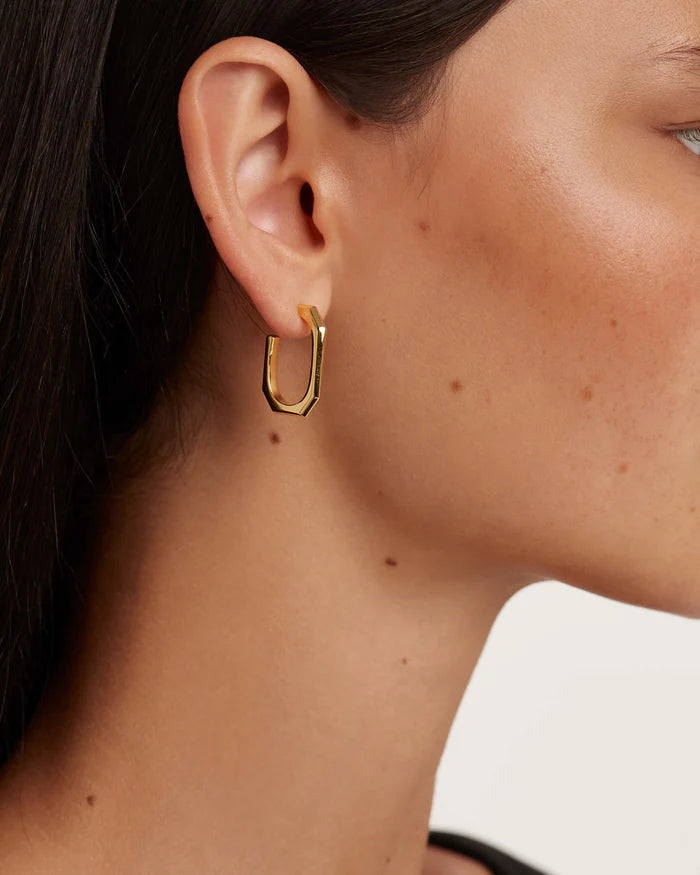 SIGNATURE LINK GOLD/SILVER EARRINGS