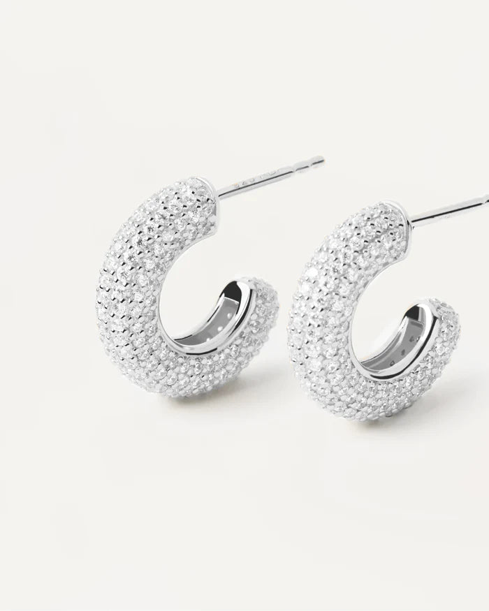 KING GOLD/SILVER EARRINGS